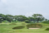 Pun Hlaing Golf Links - Green